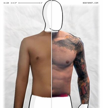 Torso Comparison