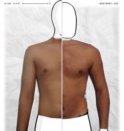 Torso Comparison