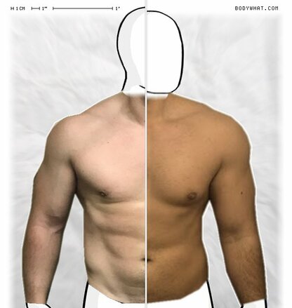 Torso Comparison