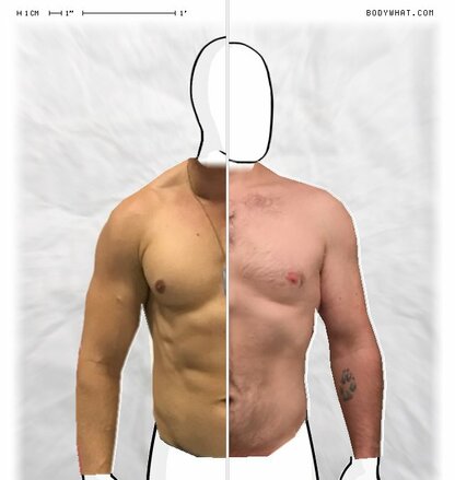 Torso Comparison