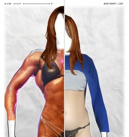 Torso Comparison