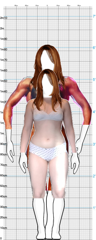 Full Size Comparison