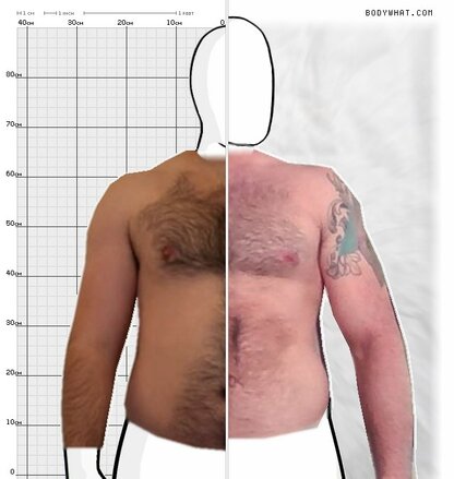 Torso Comparison