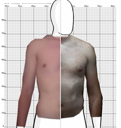 Torso Comparison