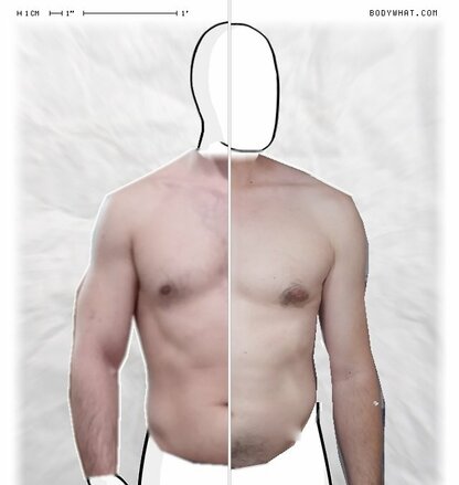 Torso Comparison