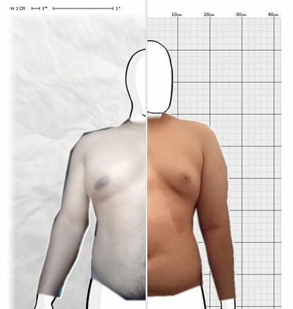 Torso Comparison