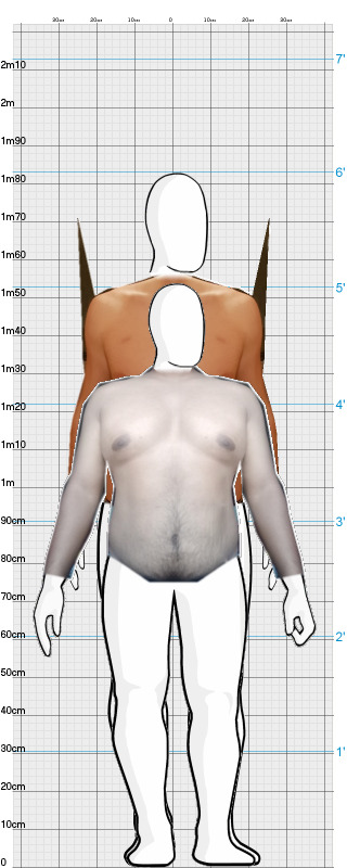 Full Size Comparison