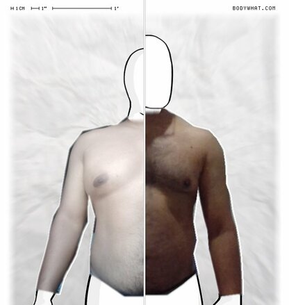 Torso Comparison