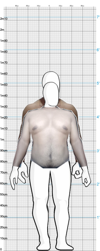 Full Size Comparison