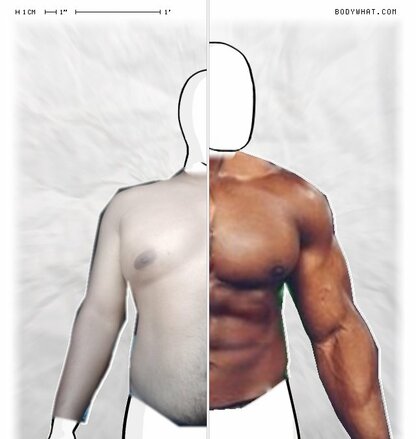 Torso Comparison