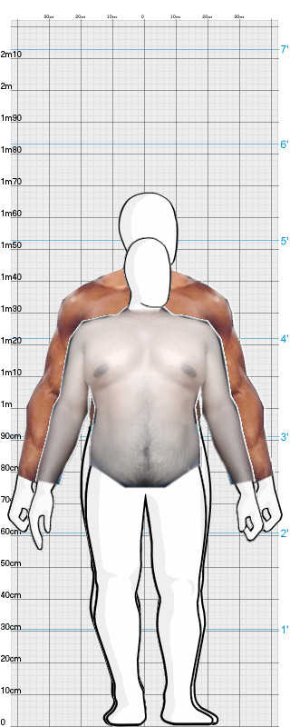Full Size Comparison