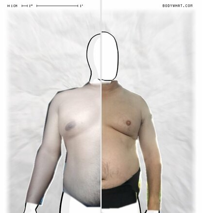 Torso Comparison