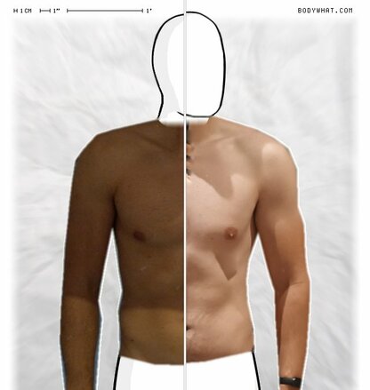 Torso Comparison