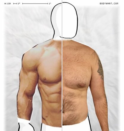 Torso Comparison