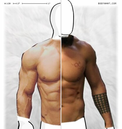 Torso Comparison