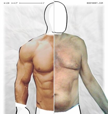 Torso Comparison