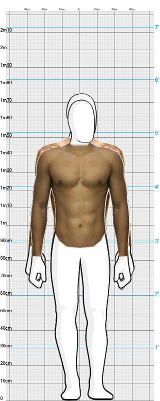 Full Size Comparison
