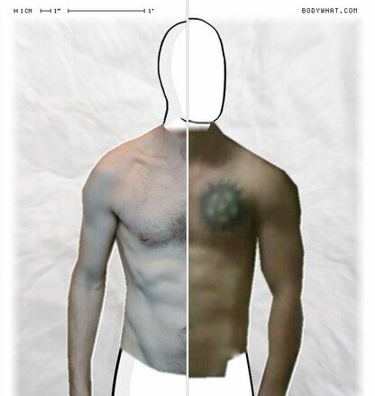 Torso Comparison