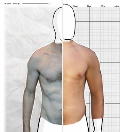 Torso Comparison