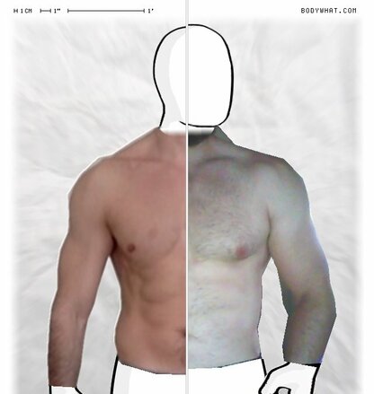 Torso Comparison