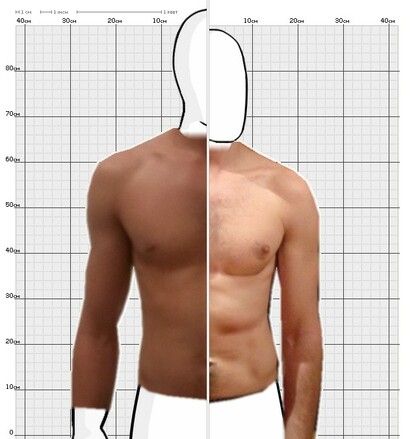 Torso Comparison