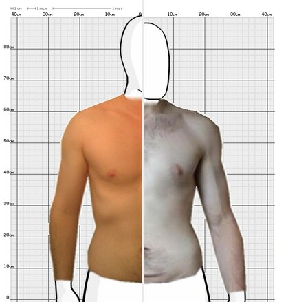 Torso Comparison