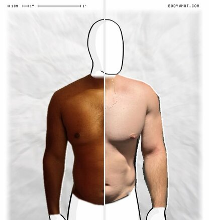 Torso Comparison