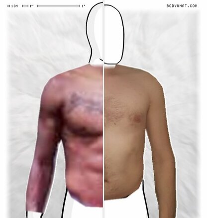 Torso Comparison