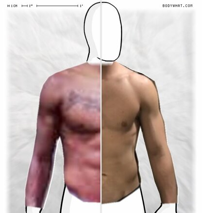 Torso Comparison