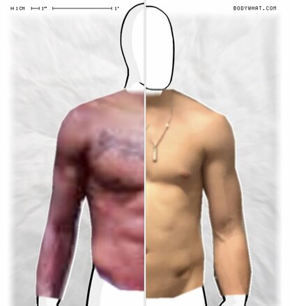 Torso Comparison