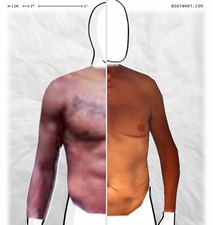 Torso Comparison