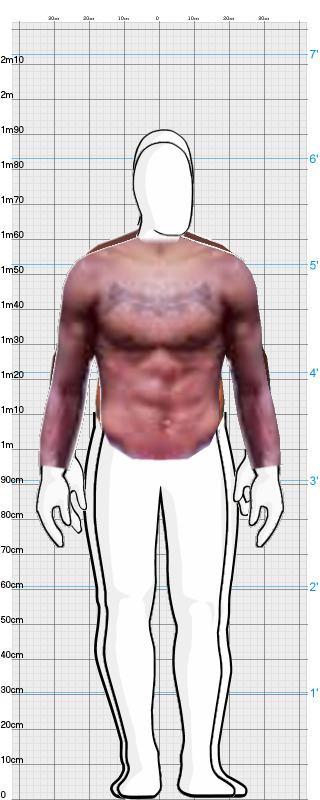 Full Size Comparison
