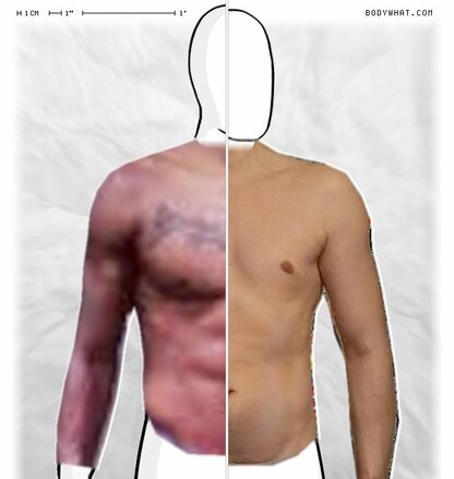 Torso Comparison