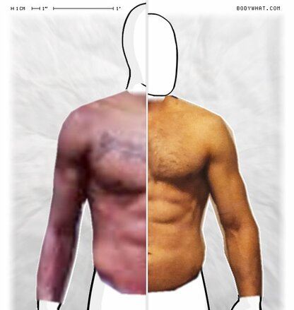 Torso Comparison