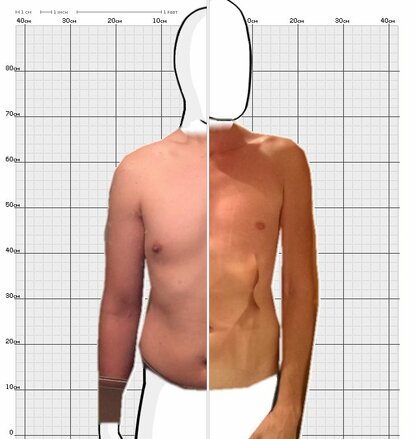 Torso Comparison