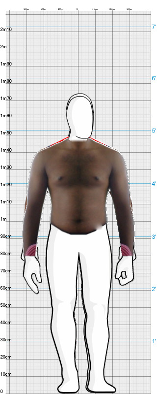 Full Size Comparison