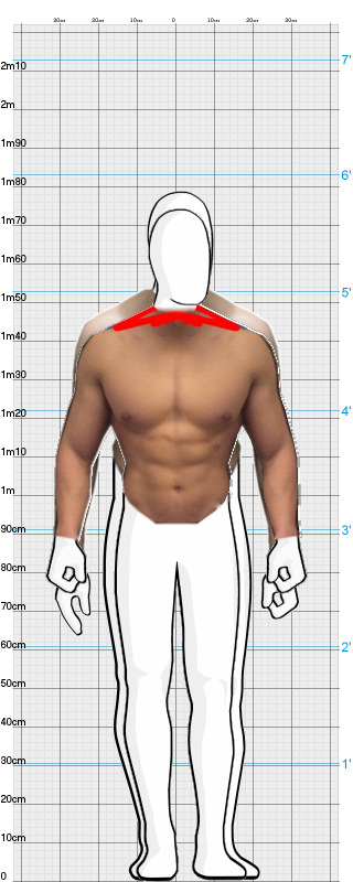 Full Size Comparison