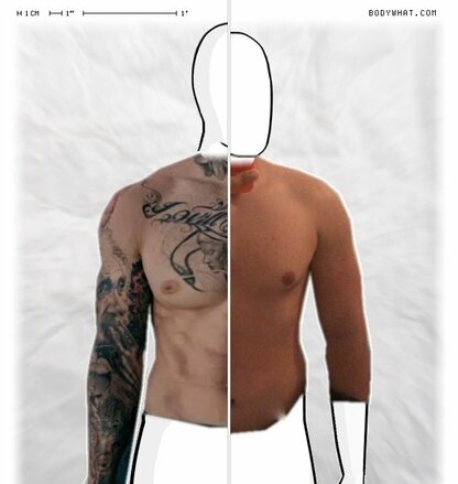 Torso Comparison