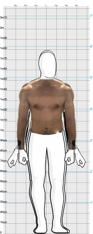 Full Size Comparison