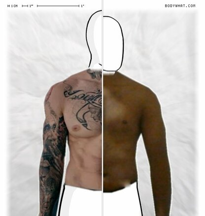 Torso Comparison