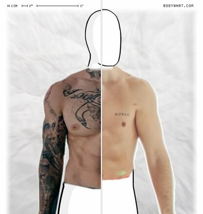 Torso Comparison