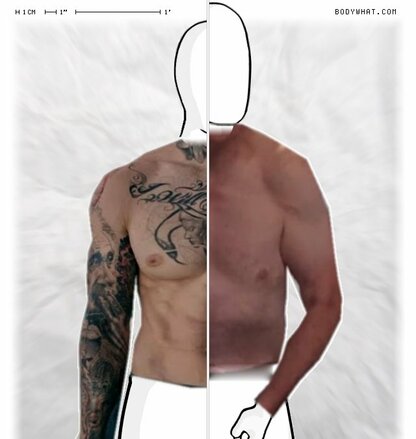 Torso Comparison