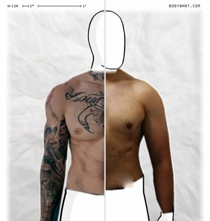 Torso Comparison