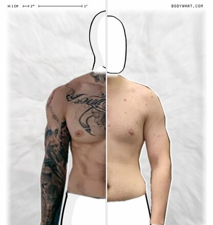 Torso Comparison