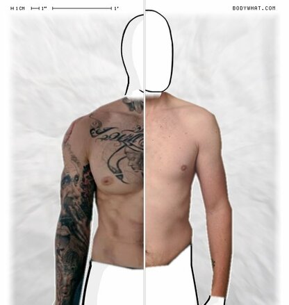 Torso Comparison