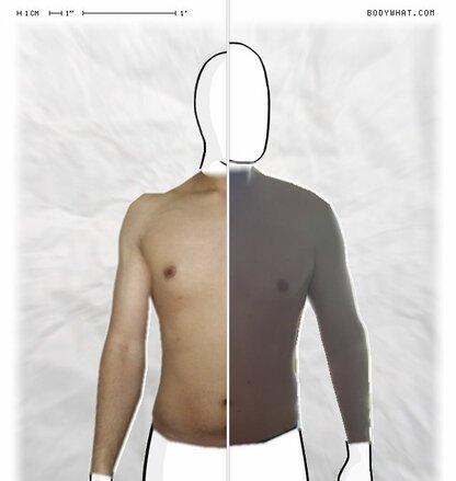 Torso Comparison