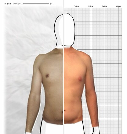 Torso Comparison
