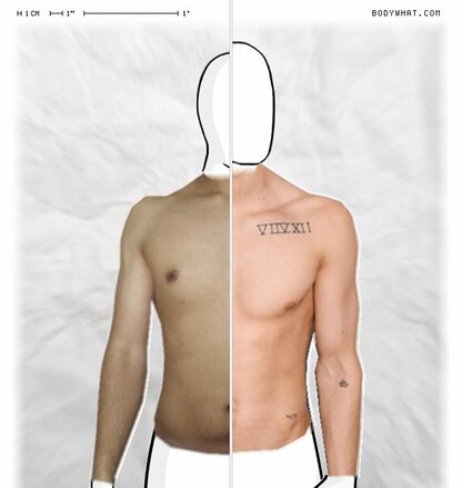 Torso Comparison