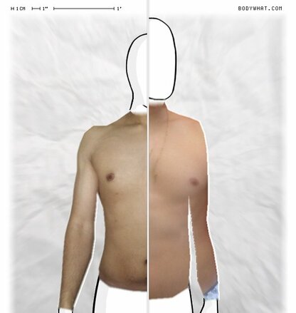 Torso Comparison