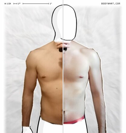 Torso Comparison